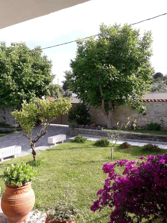 Villa Panorama Πευκοχώρι Εξωτερικό φωτογραφία